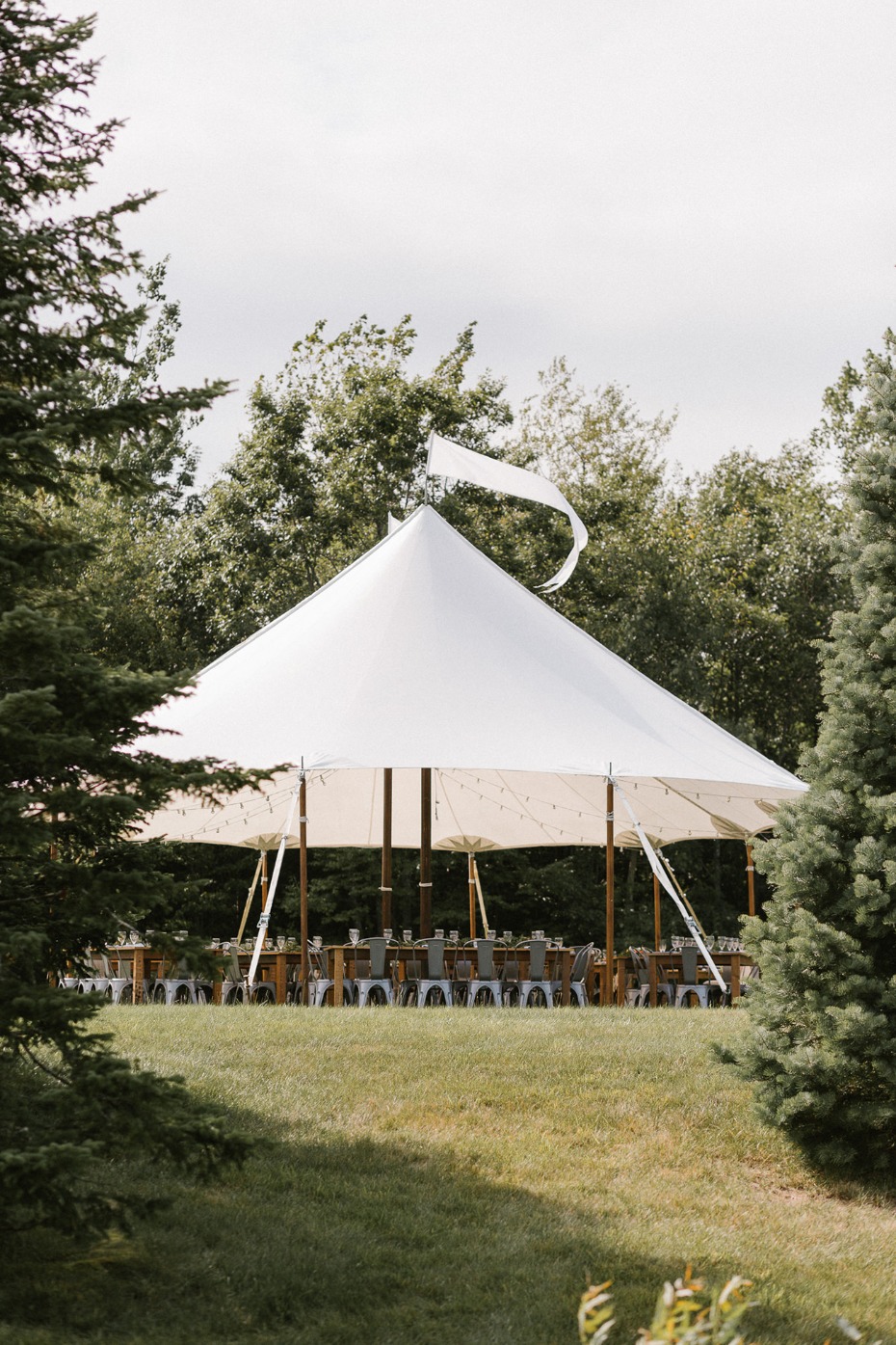 Cool circus tent reception