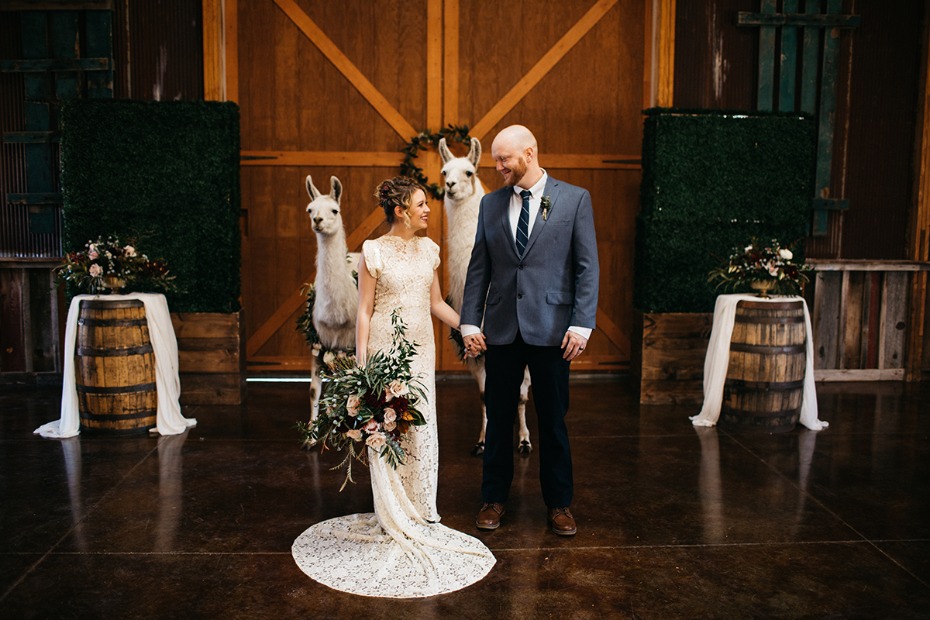 sweet bride and groom wedding day with llama witnesses