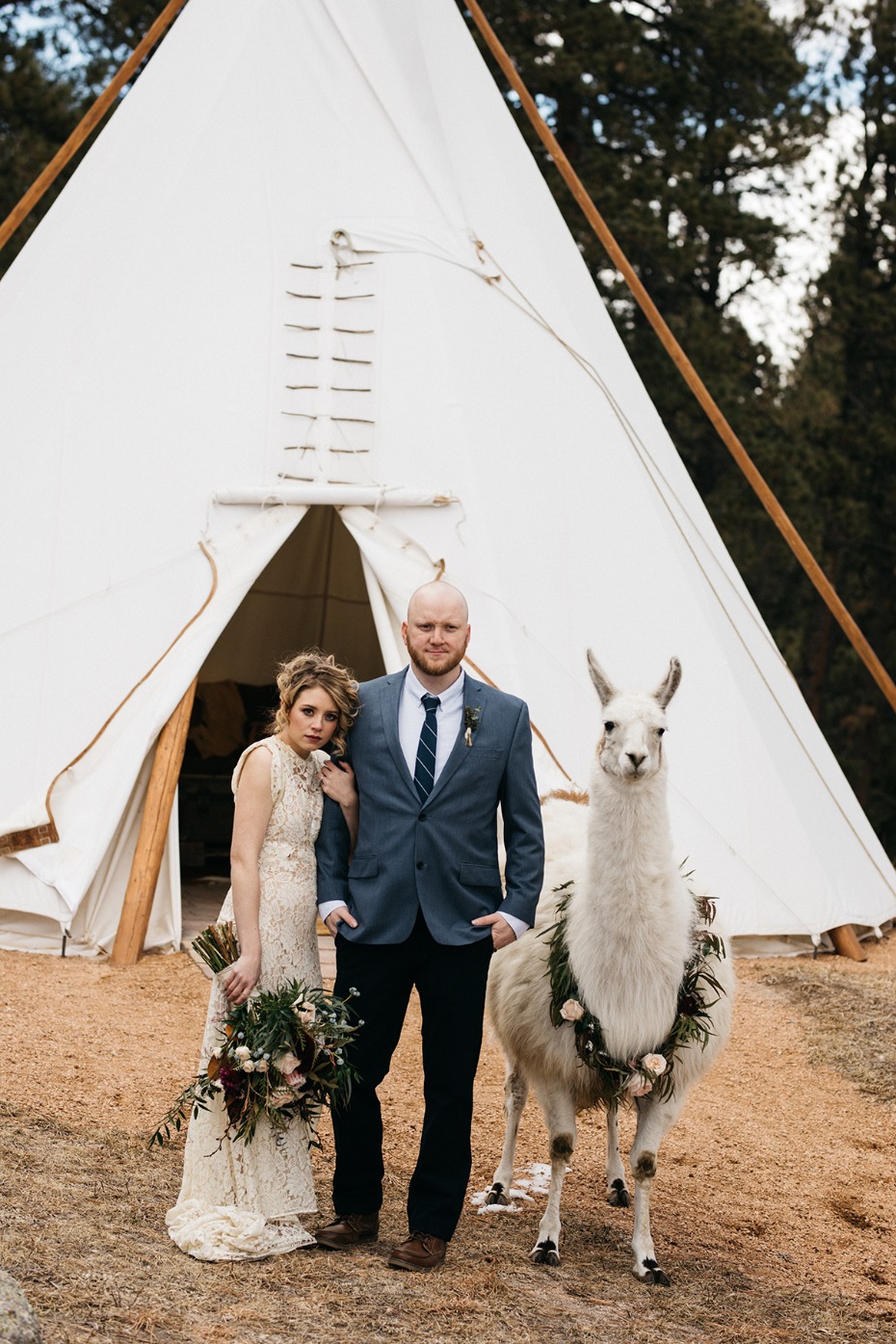wedding teepee and wedding llama