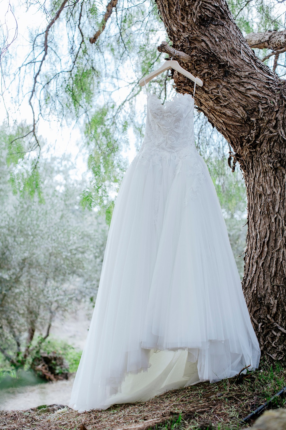 ultra-glam-blush-and-gold-wedding-in