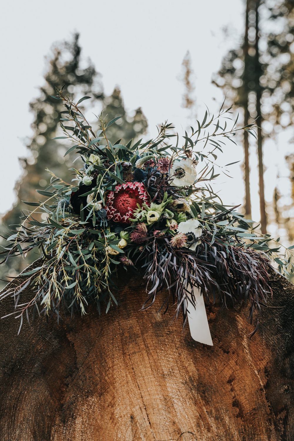 wedding-submission-from-bessie-young