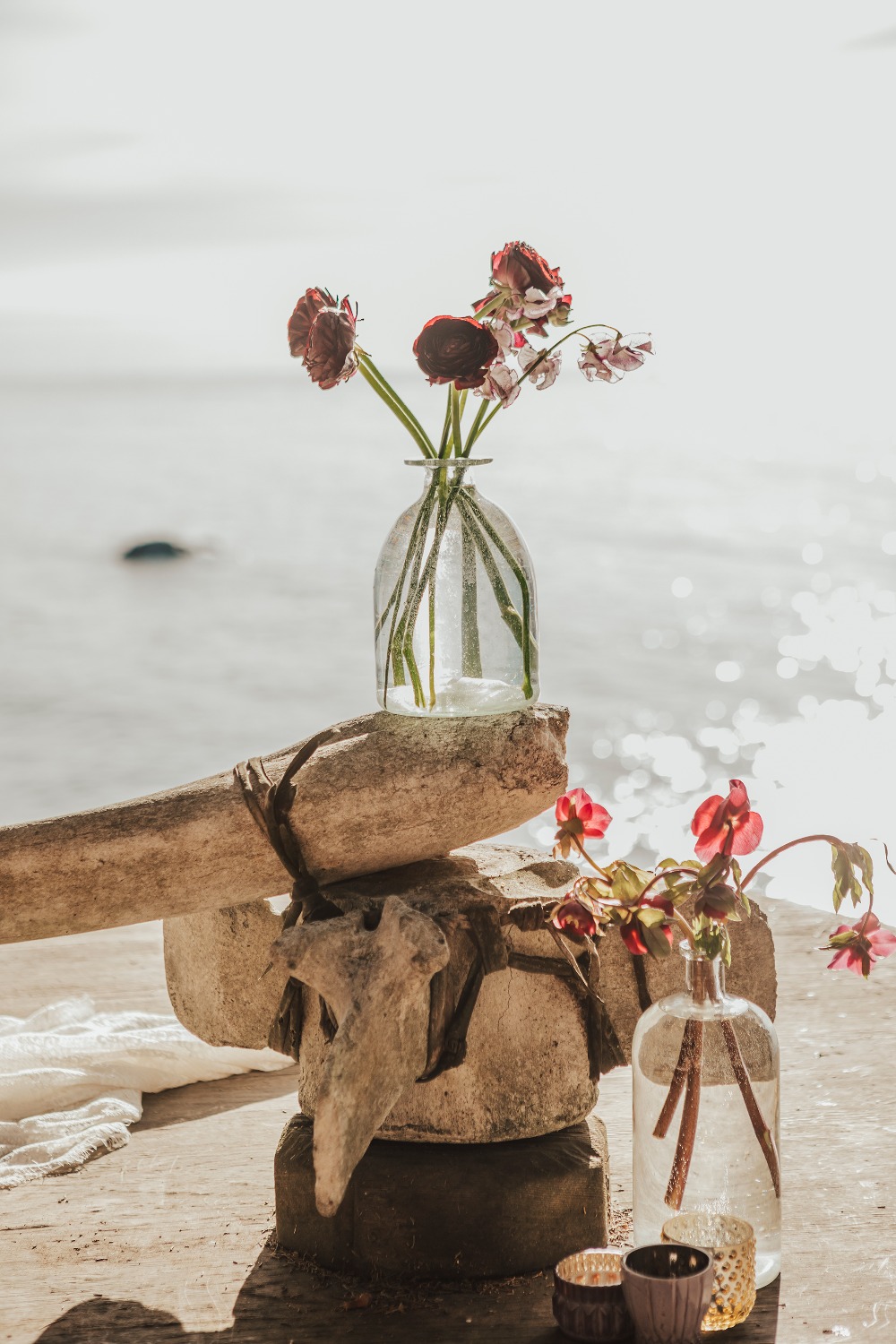 wedding-submission-from-carol-oliva