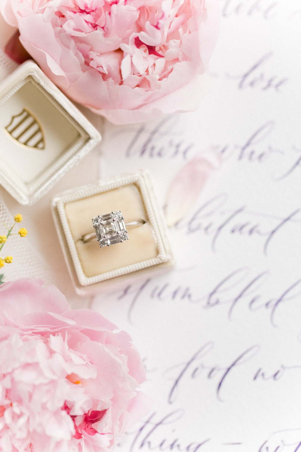 wedding-submission-from-jessica-chole