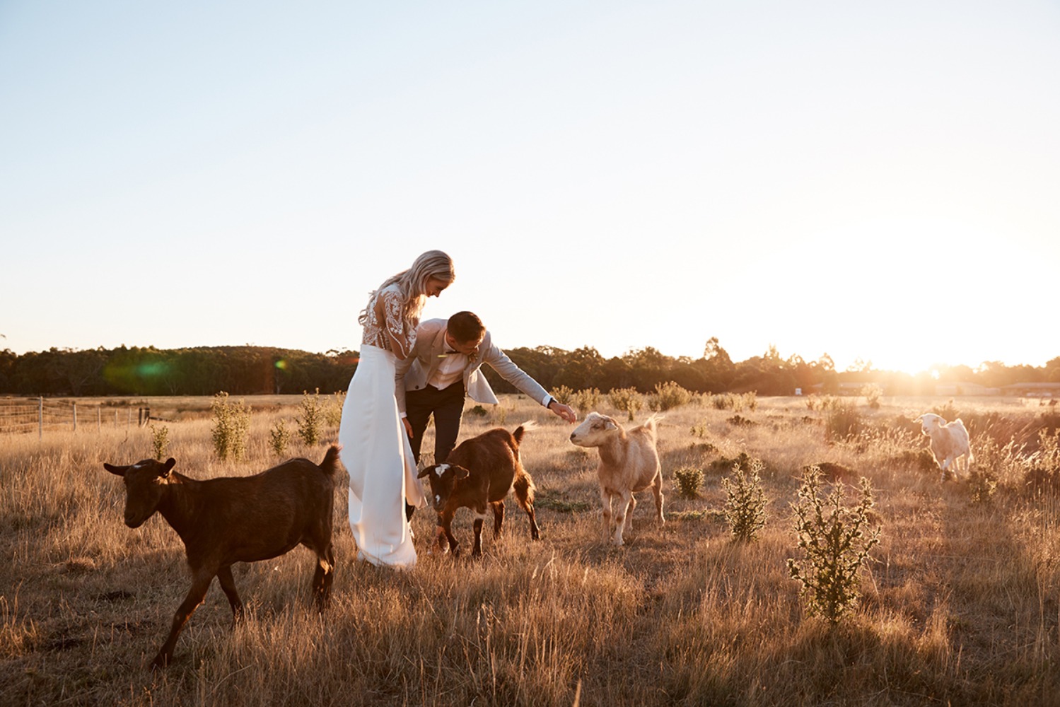 wedding-submission-from-mitch-papas