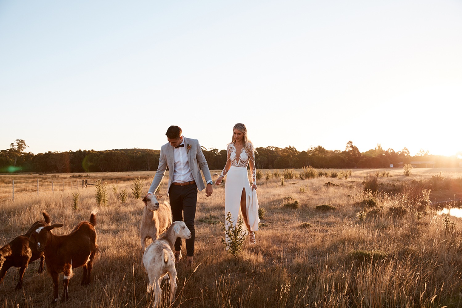 wedding-submission-from-mitch-papas