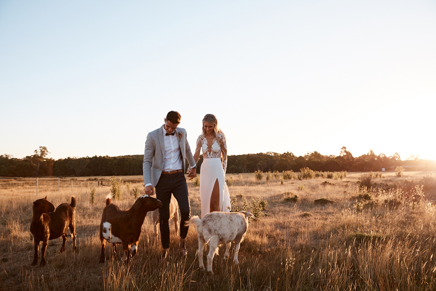 wedding-submission-from-mitch-papas