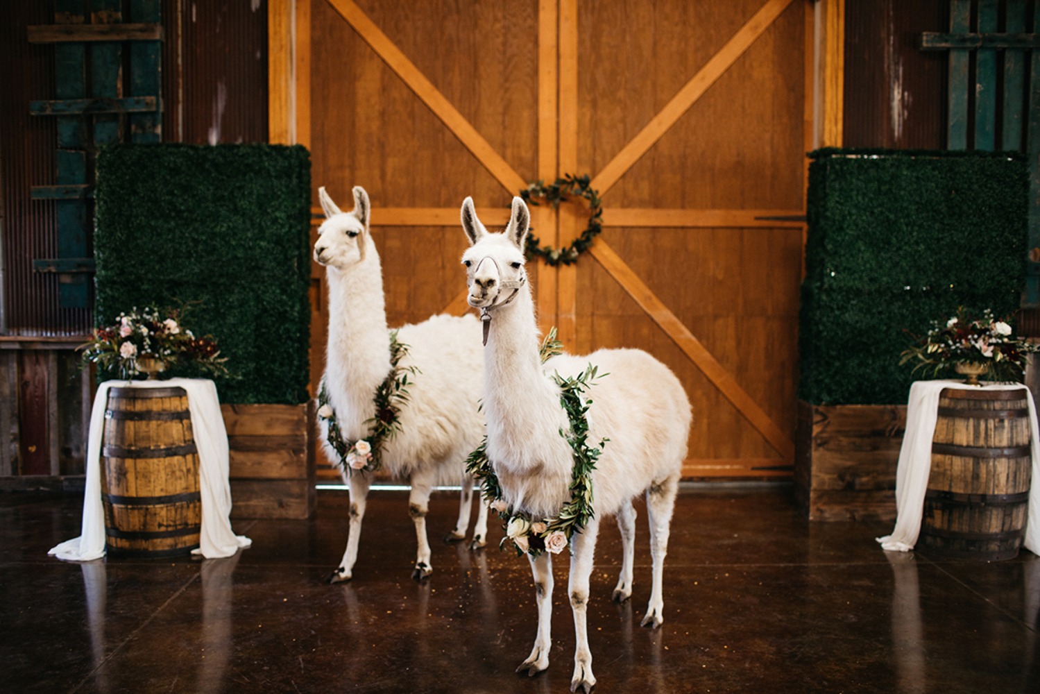 wedding-submission-from-sharee