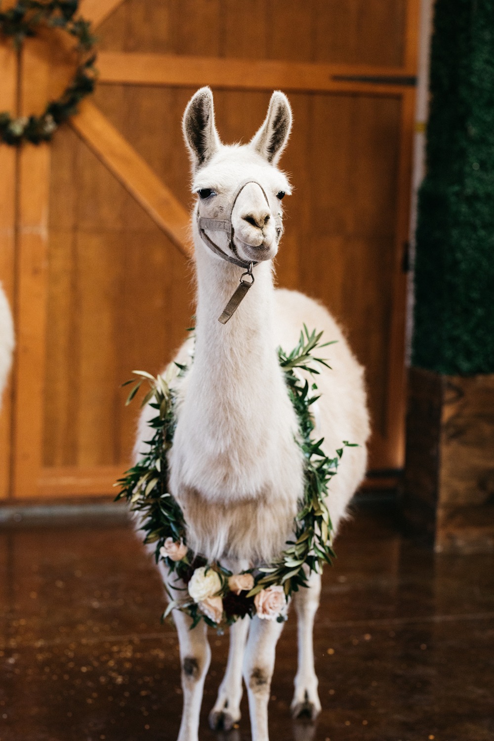 wedding-submission-from-sharee