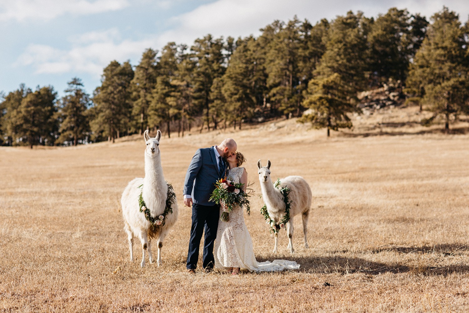 wedding-submission-from-sharee