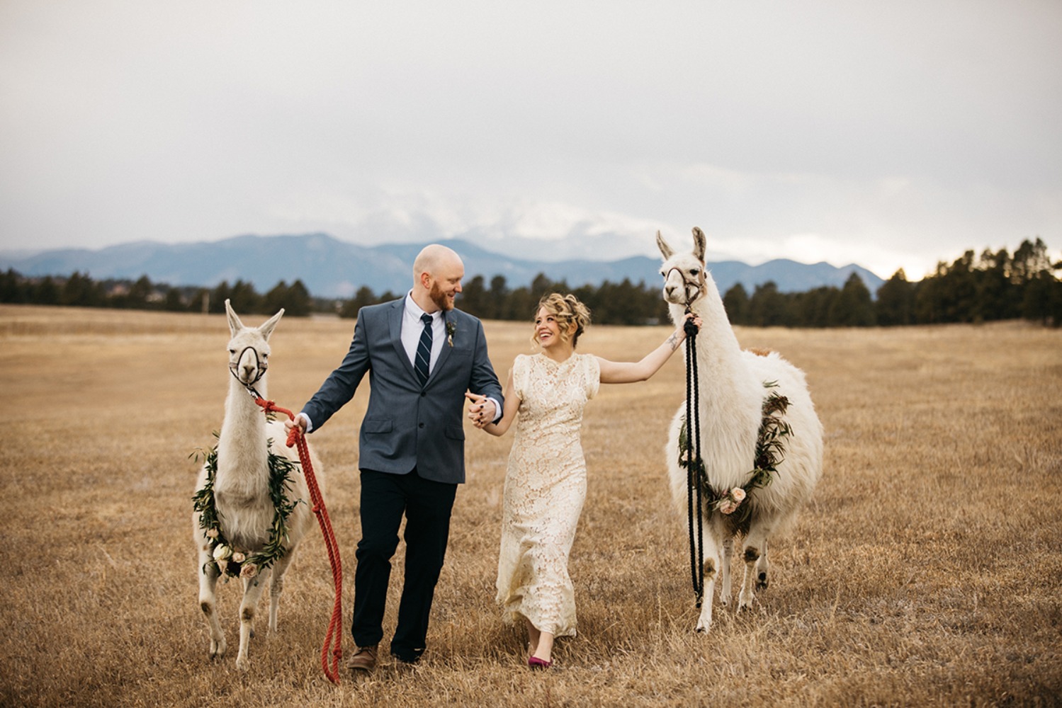 wedding-submission-from-sharee