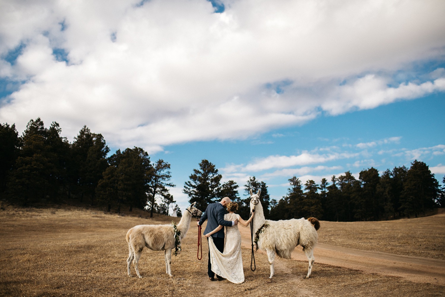 wedding-submission-from-sharee