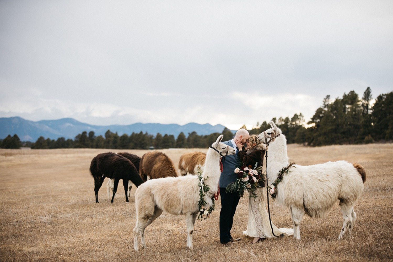 wedding-submission-from-sharee