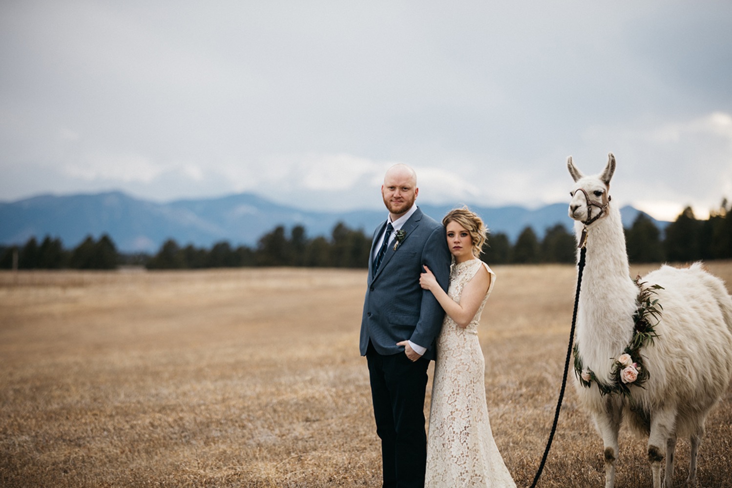 wedding-submission-from-sharee
