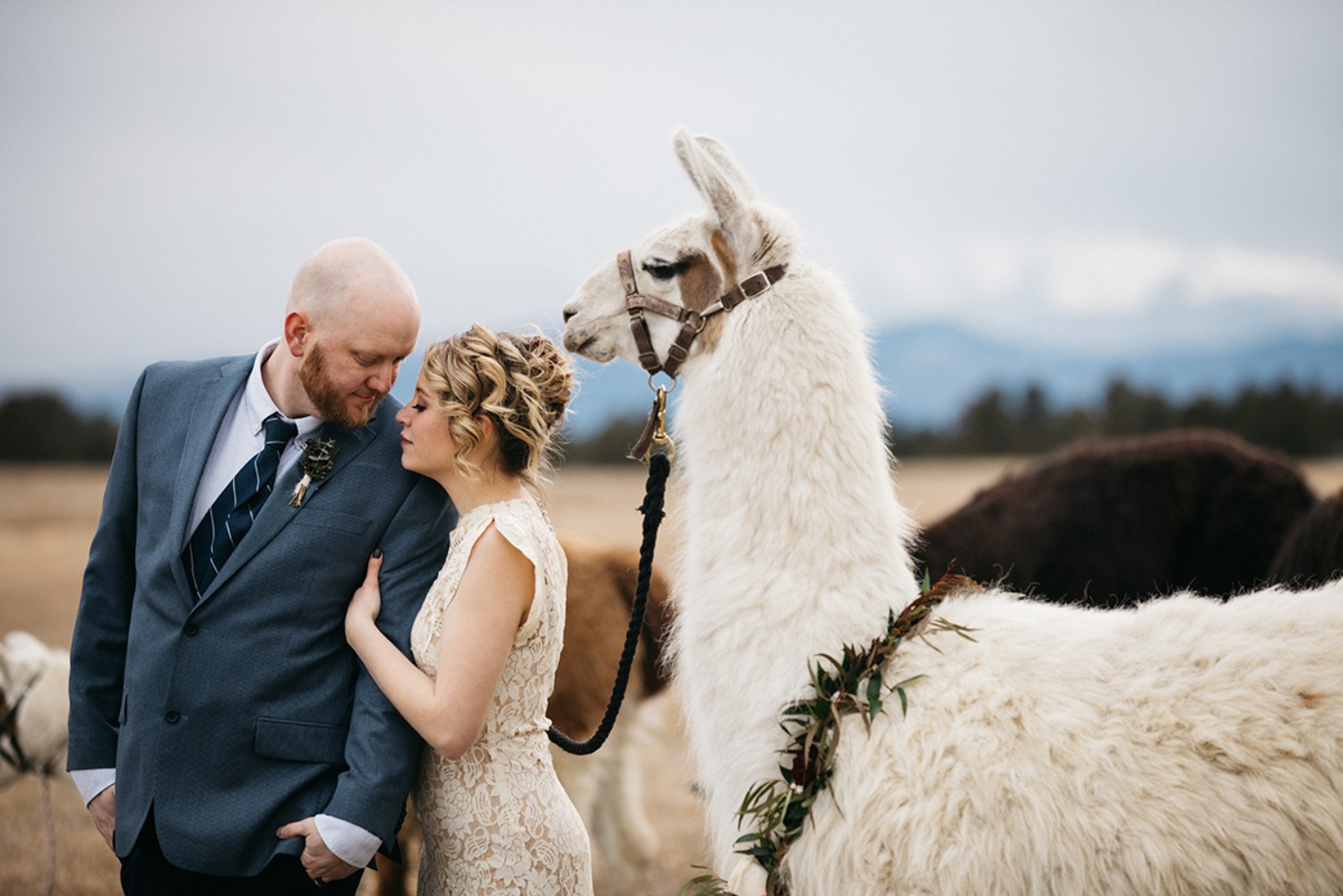 wedding-submission-from-sharee