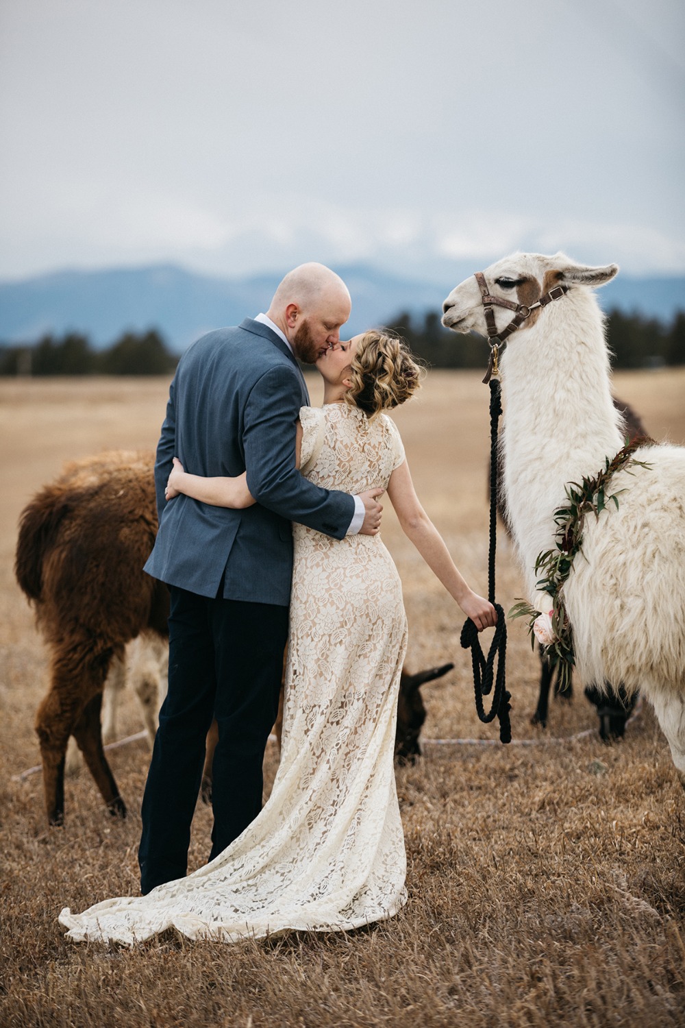 wedding-submission-from-sharee