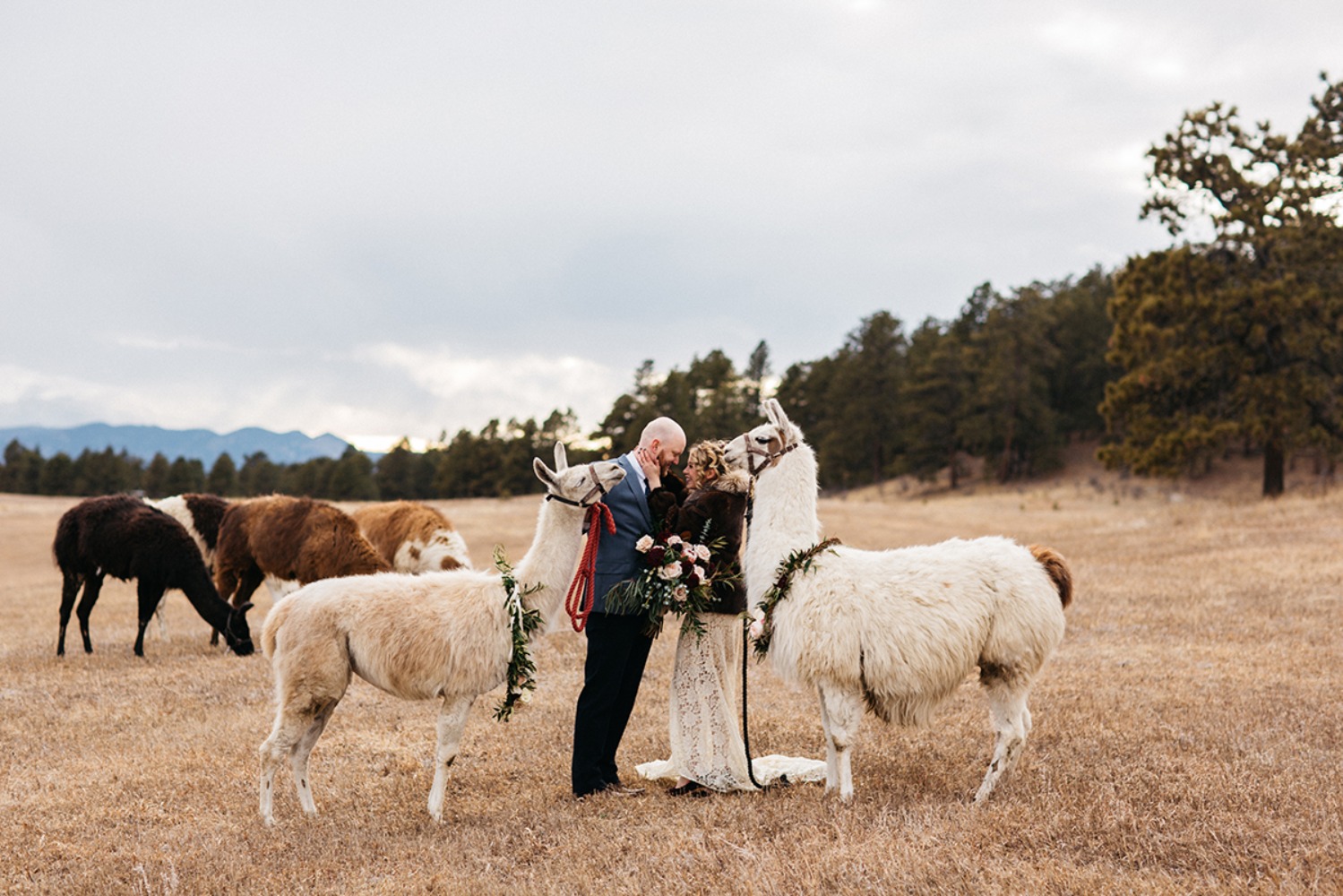 wedding-submission-from-sharee