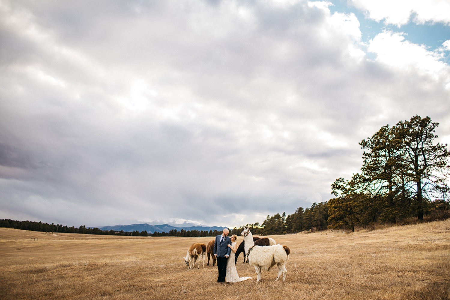 wedding-submission-from-sharee