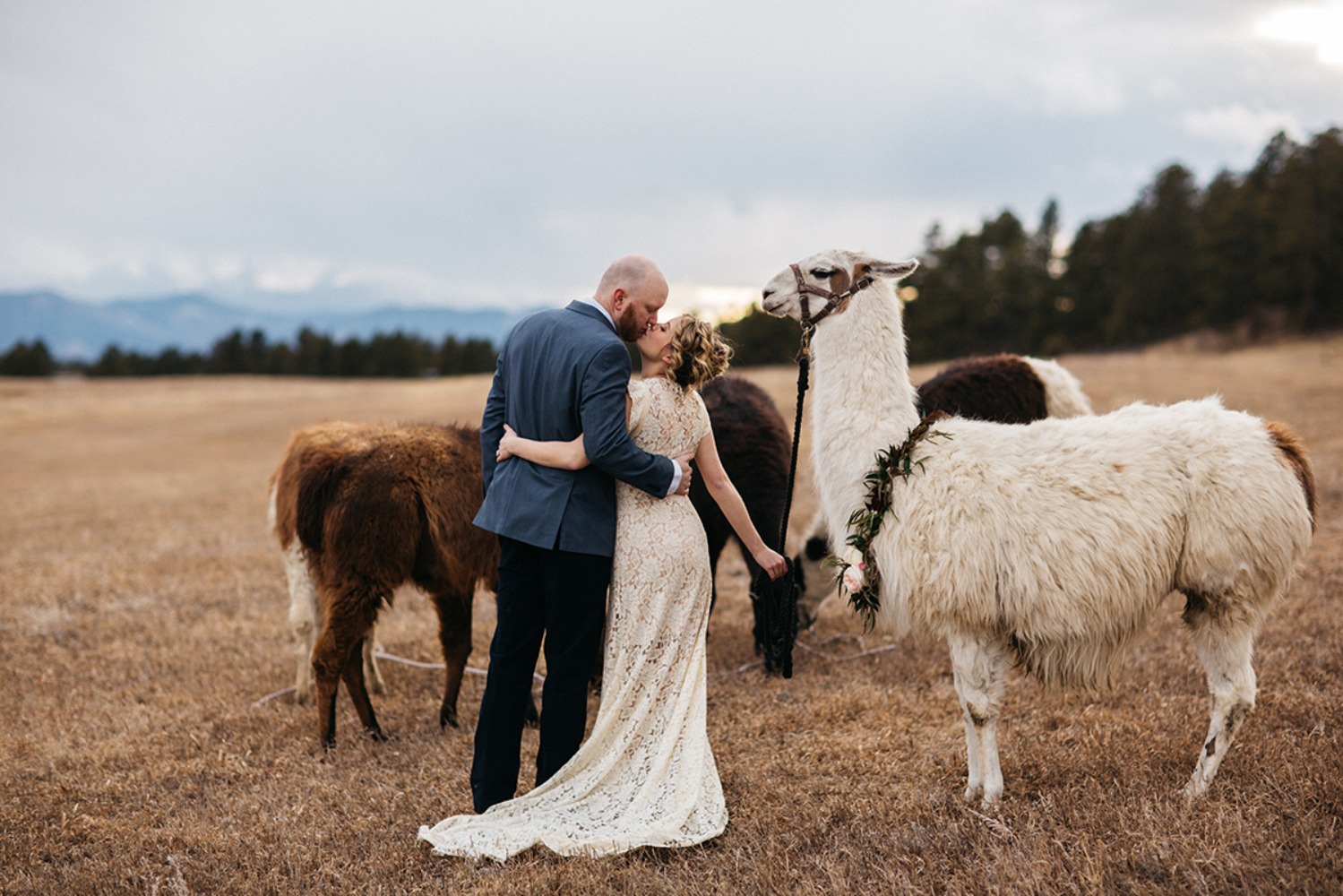 wedding-submission-from-sharee