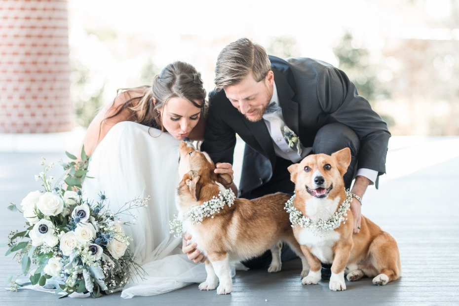 5 Things to Consider Before Having Your Dog at Your Wedding