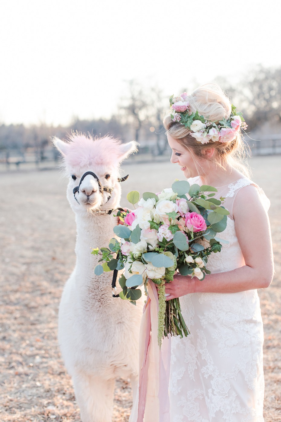 wedding alpaca with pink hair