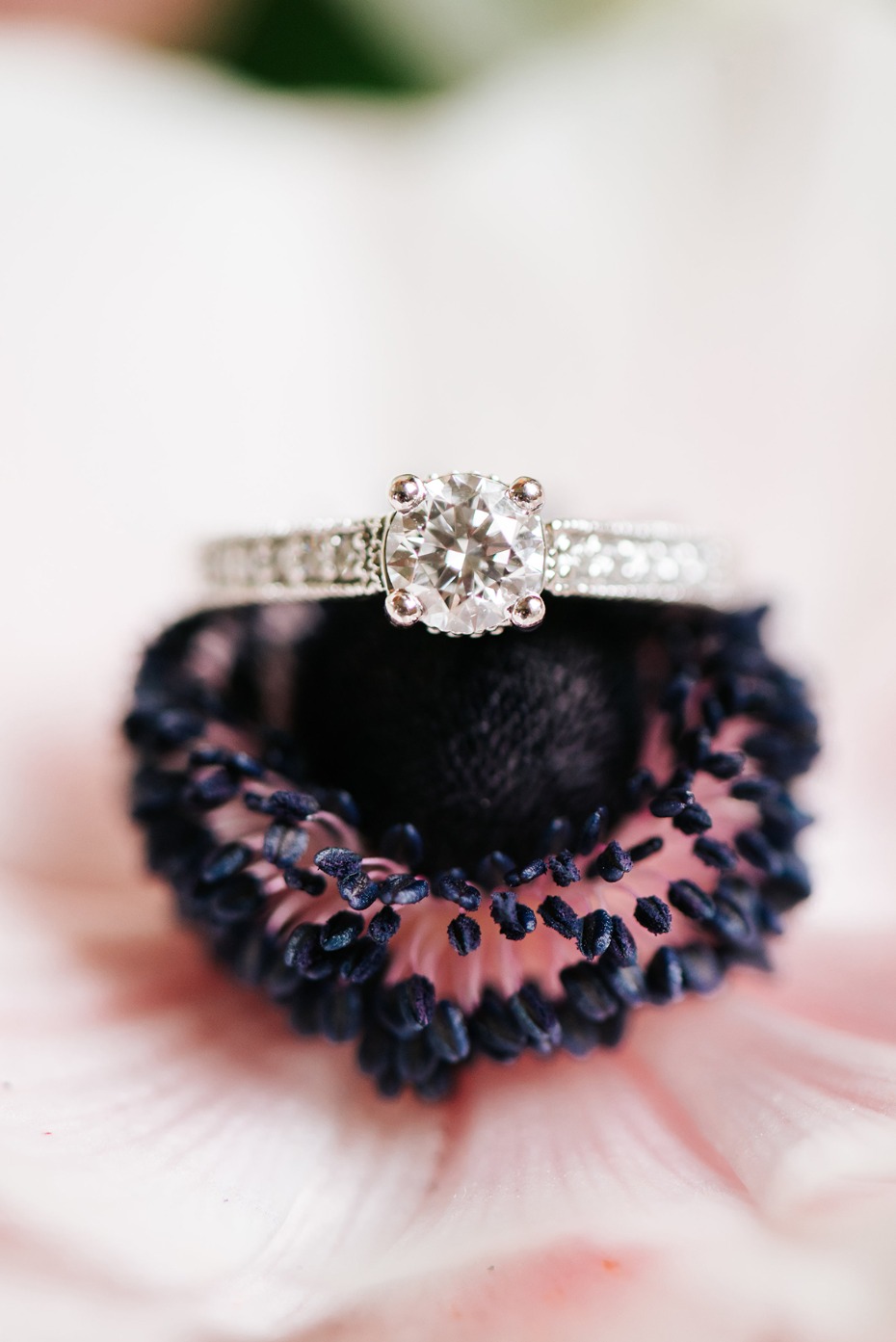 Diamond engagement ring on a dark centered pink flower