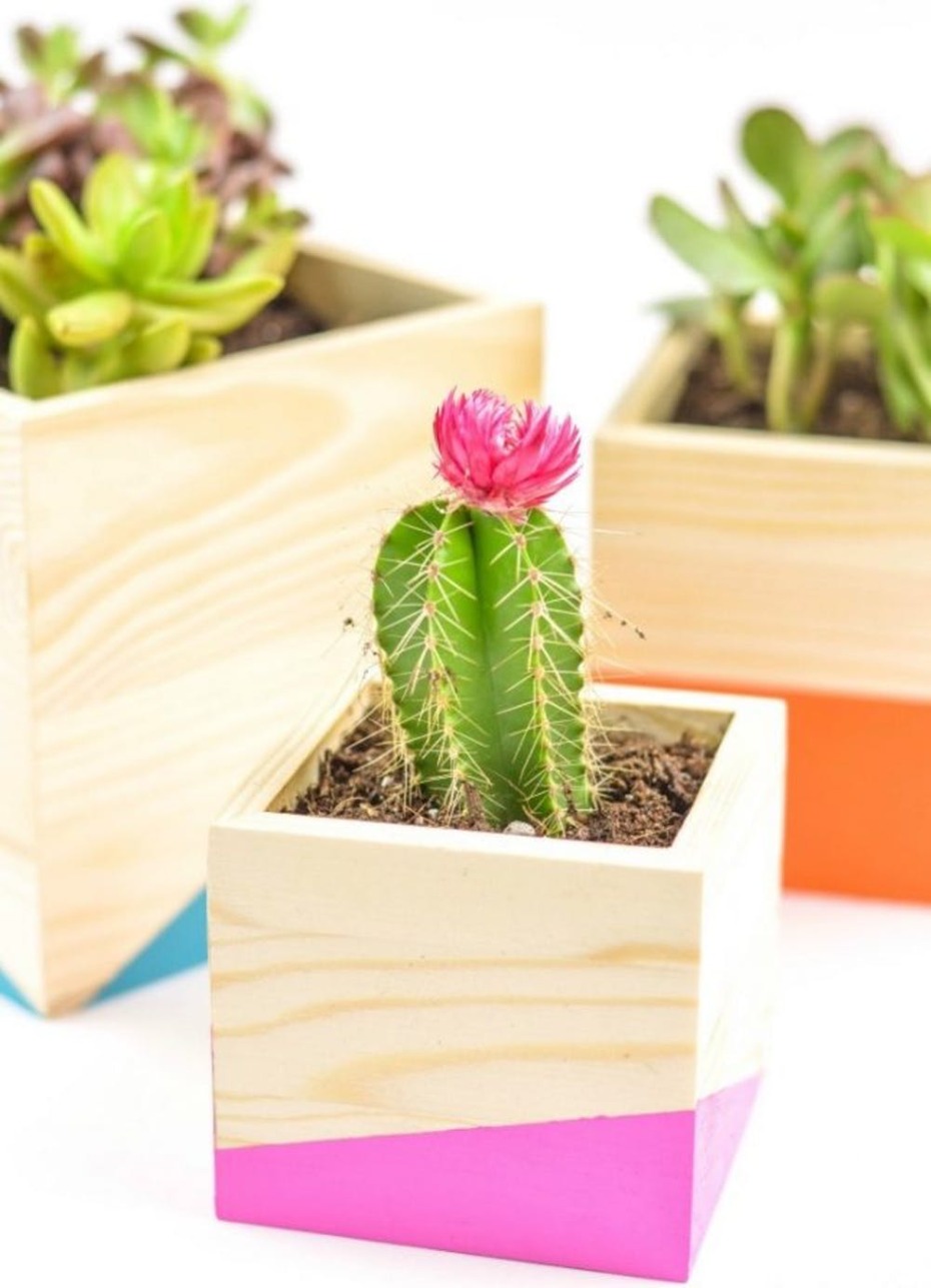 color blocked wooden planters