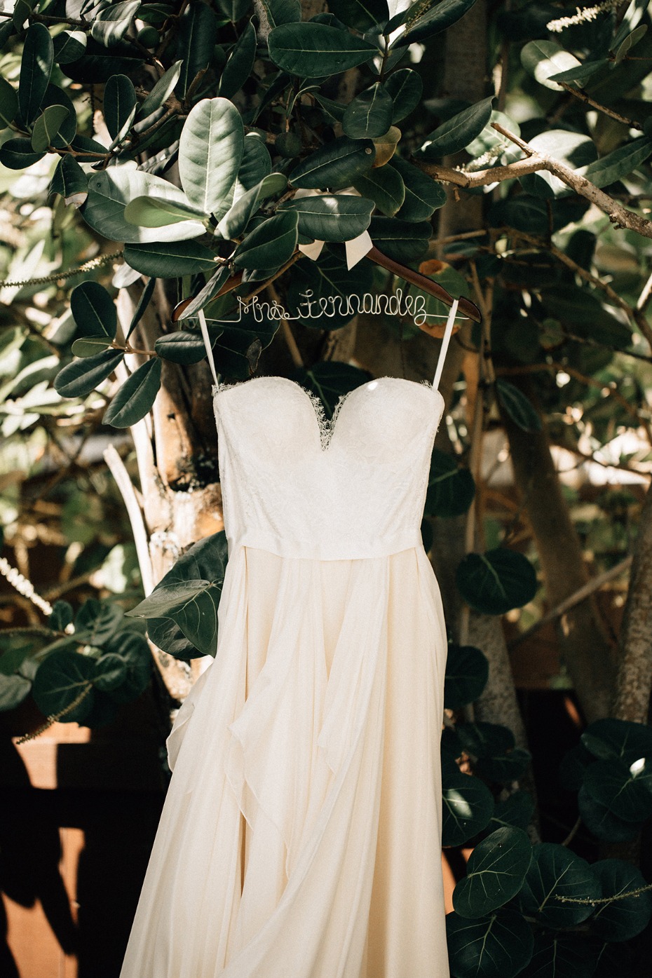 Mrs Hernandez wedding dress hanging on a tree branch