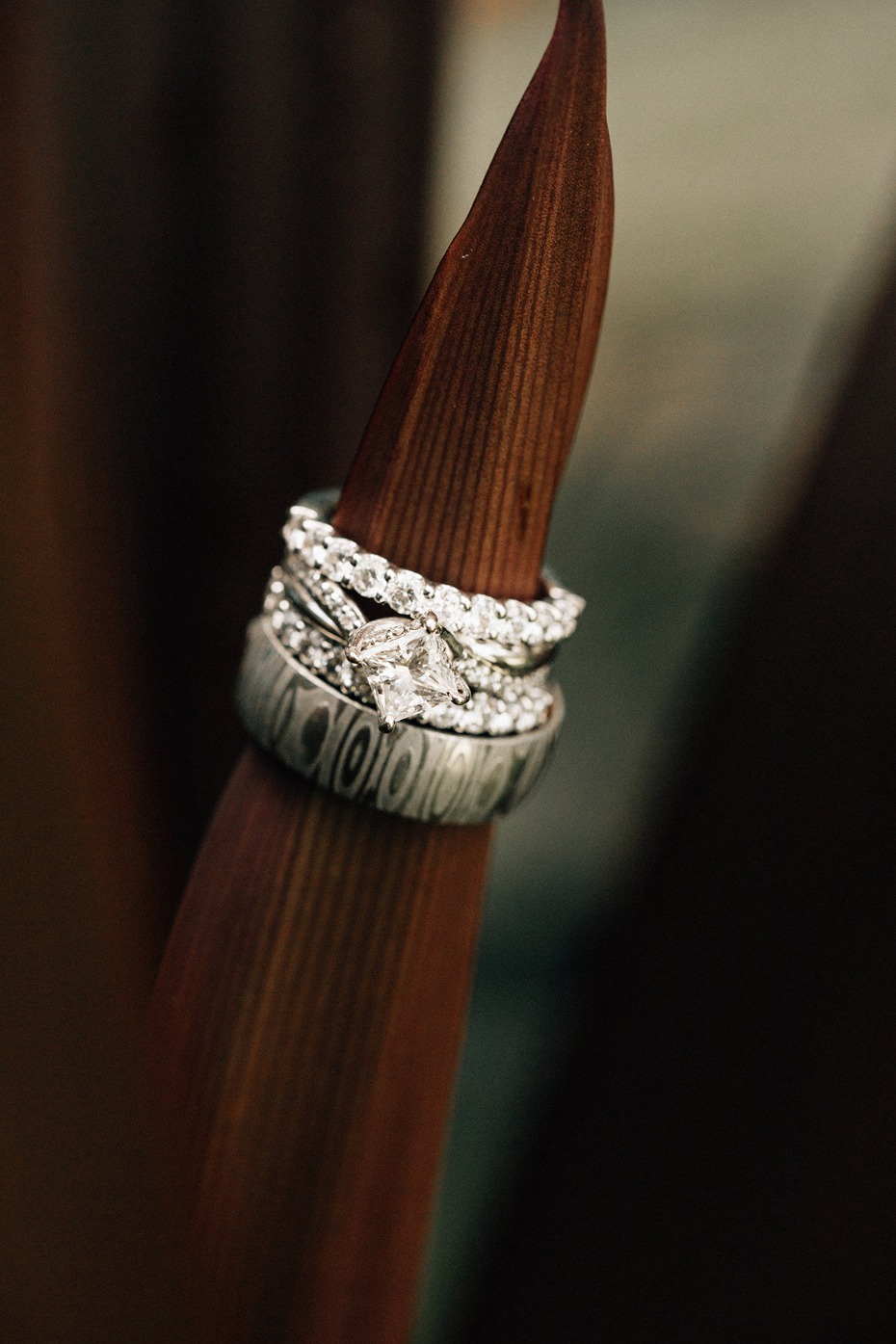 Wedding rings stacked on a brown leaf close up shot