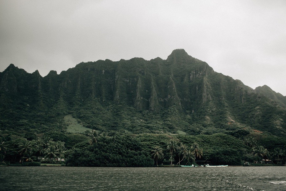 Green mountains and palms on a cloudy day in Hawaii