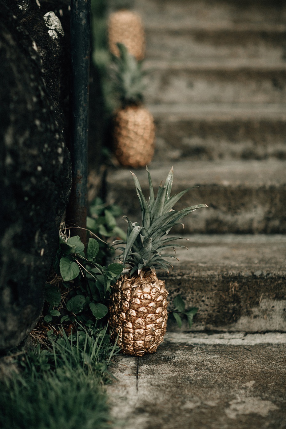 Pineapples on weathered stone steps and green foliage