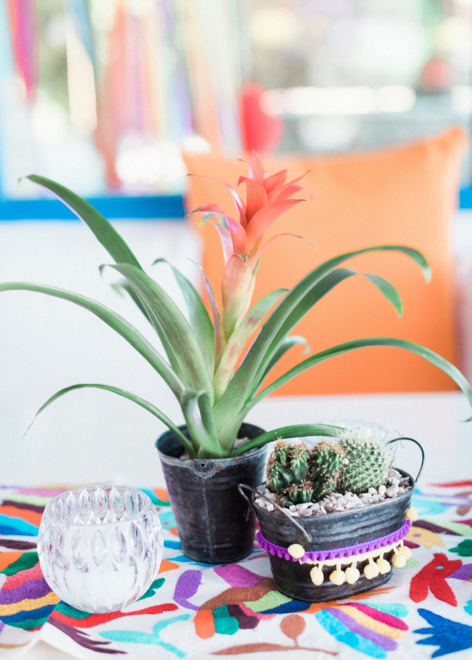Pre-wedding fiesta centerpiece