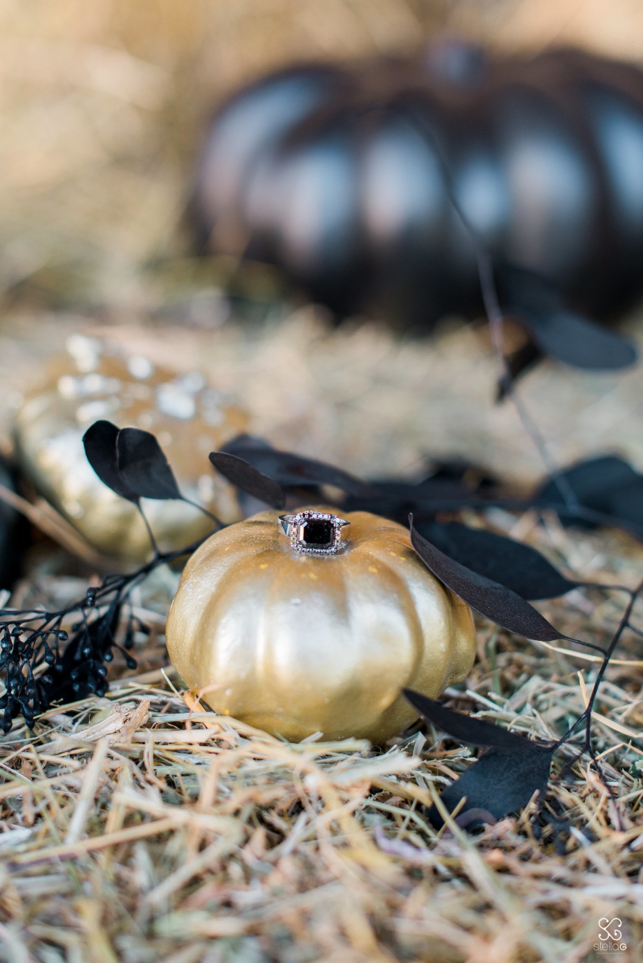 Engagement ring on golden pumpkin for Halloween wedding