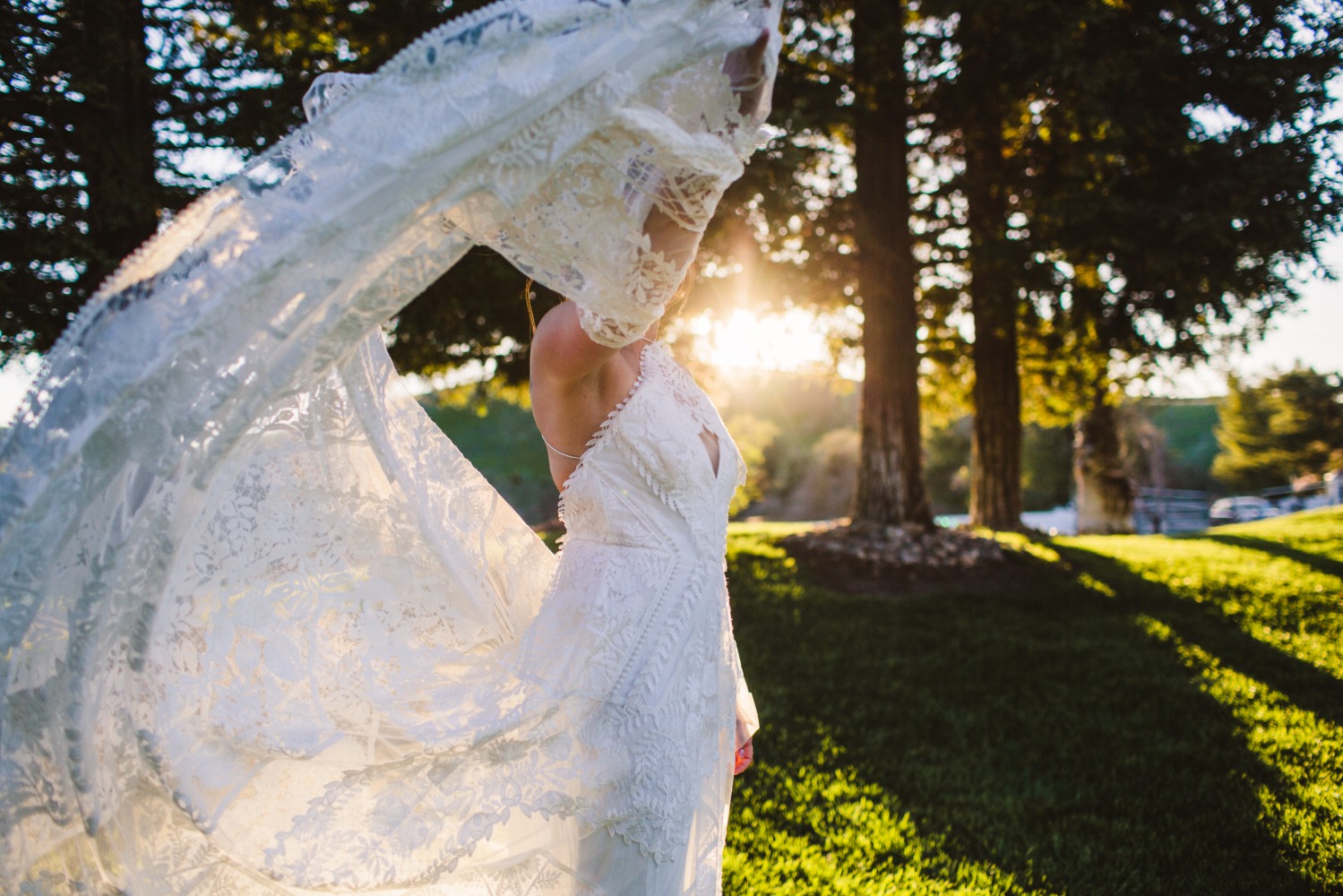 wedding-submission-from-beloved