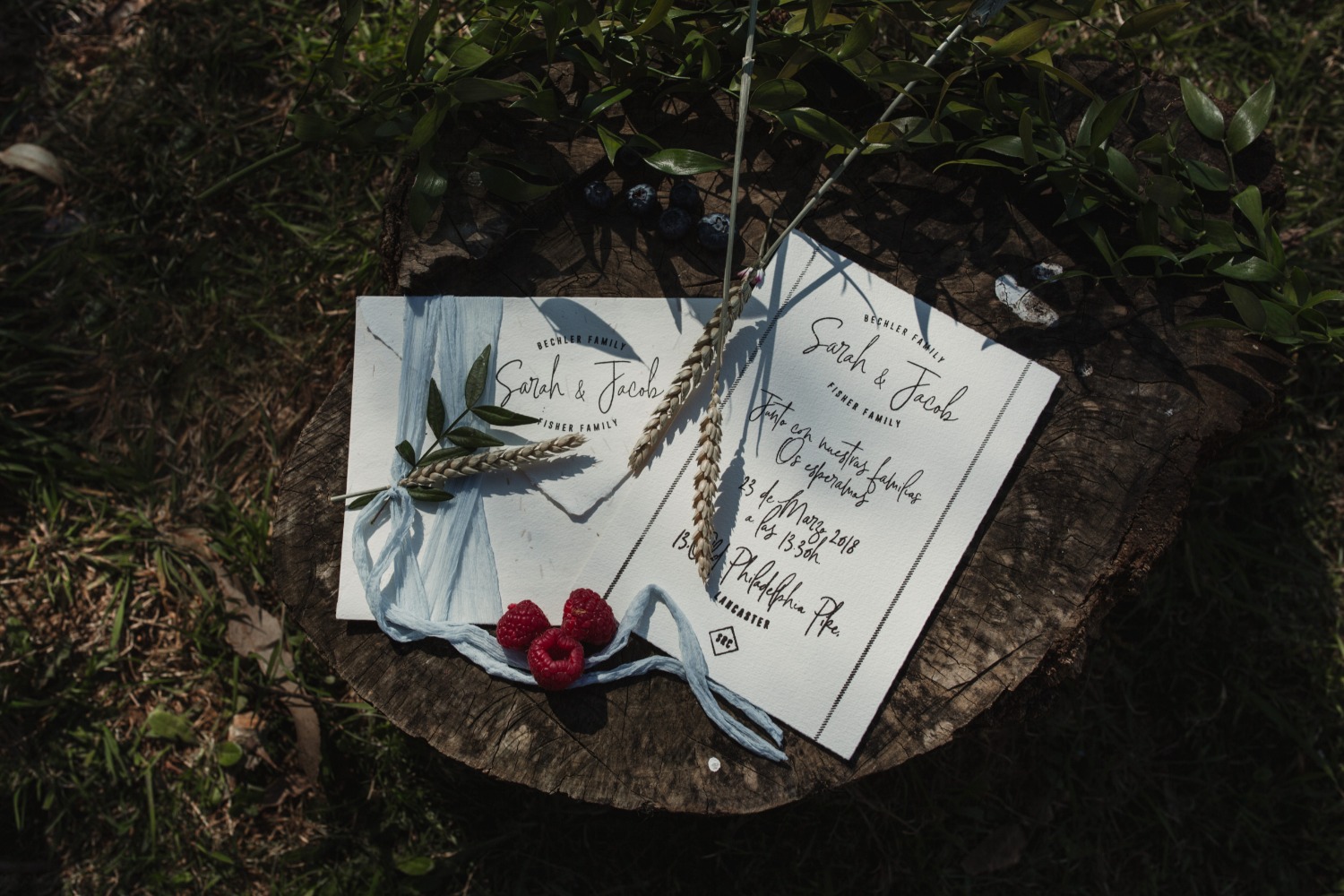 wedding-submission-from-boquer-n