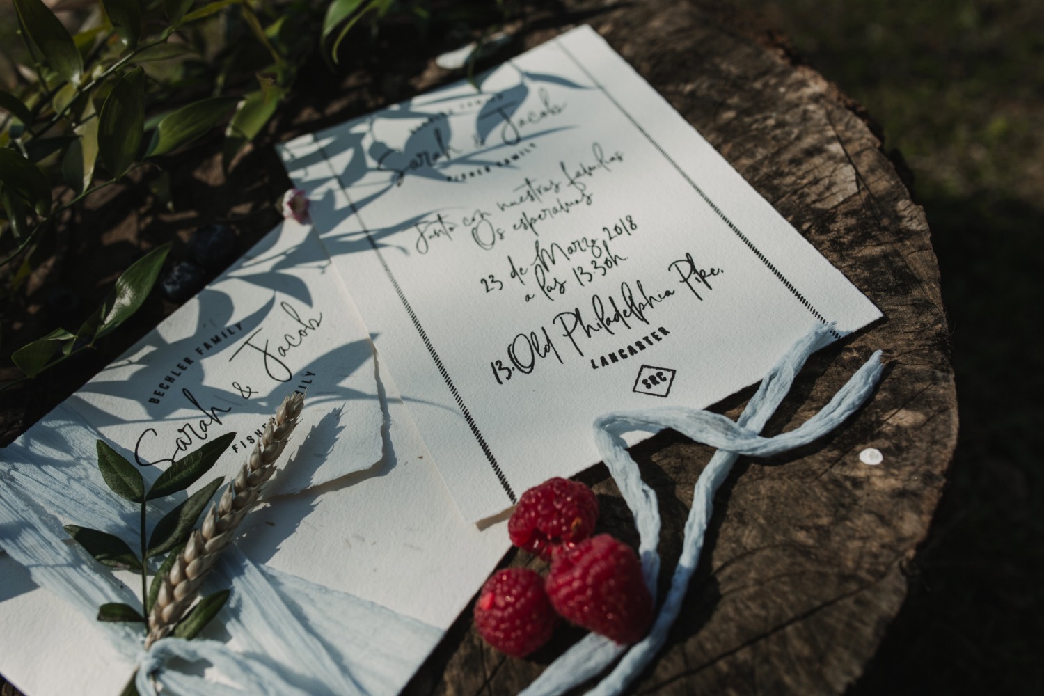 wedding-submission-from-boquer-n