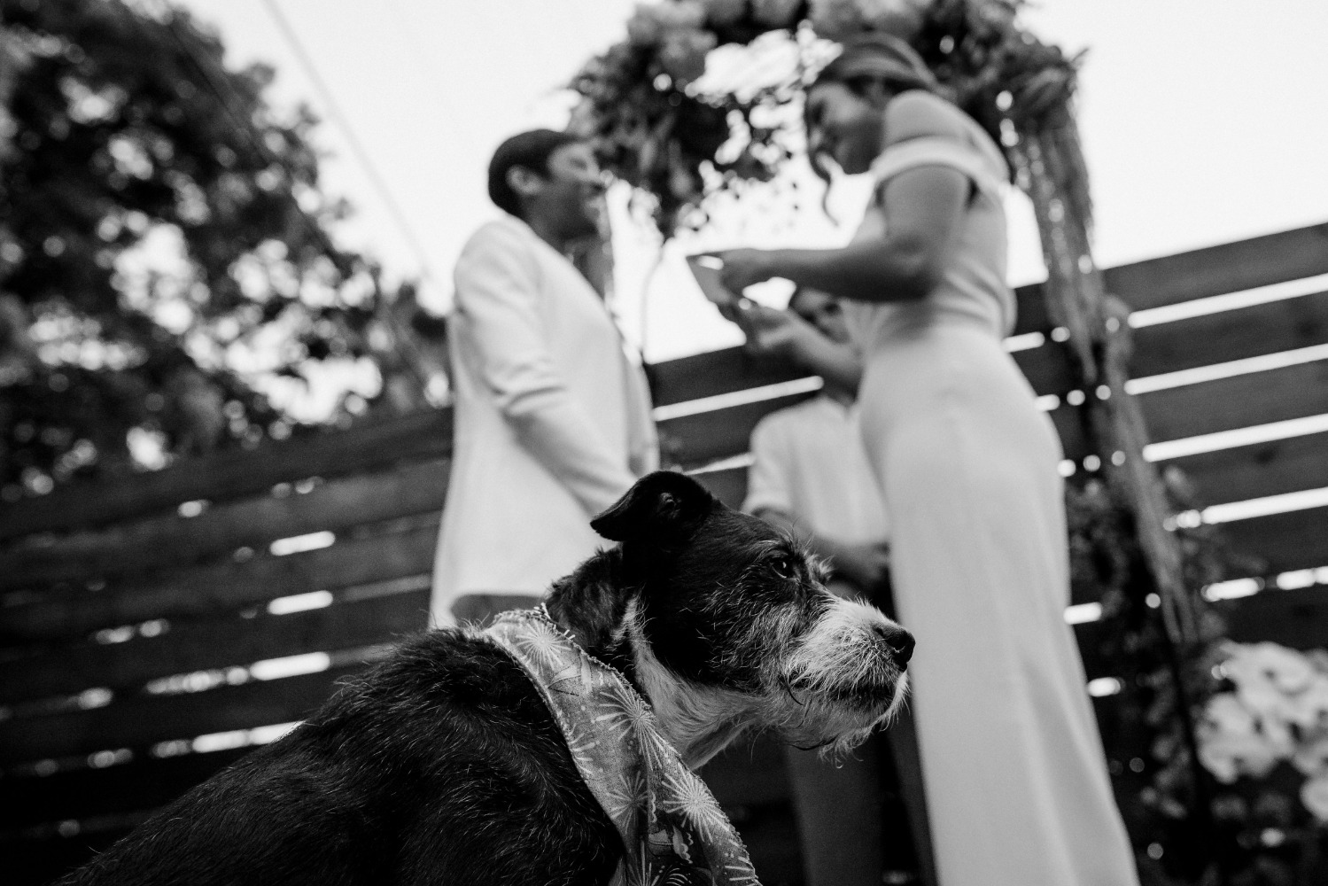 wedding-submission-from-kirstin-benson