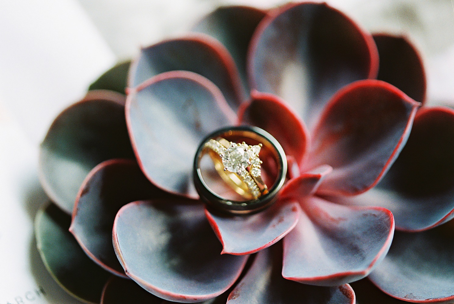 wedding-submission-from-kristal-childs