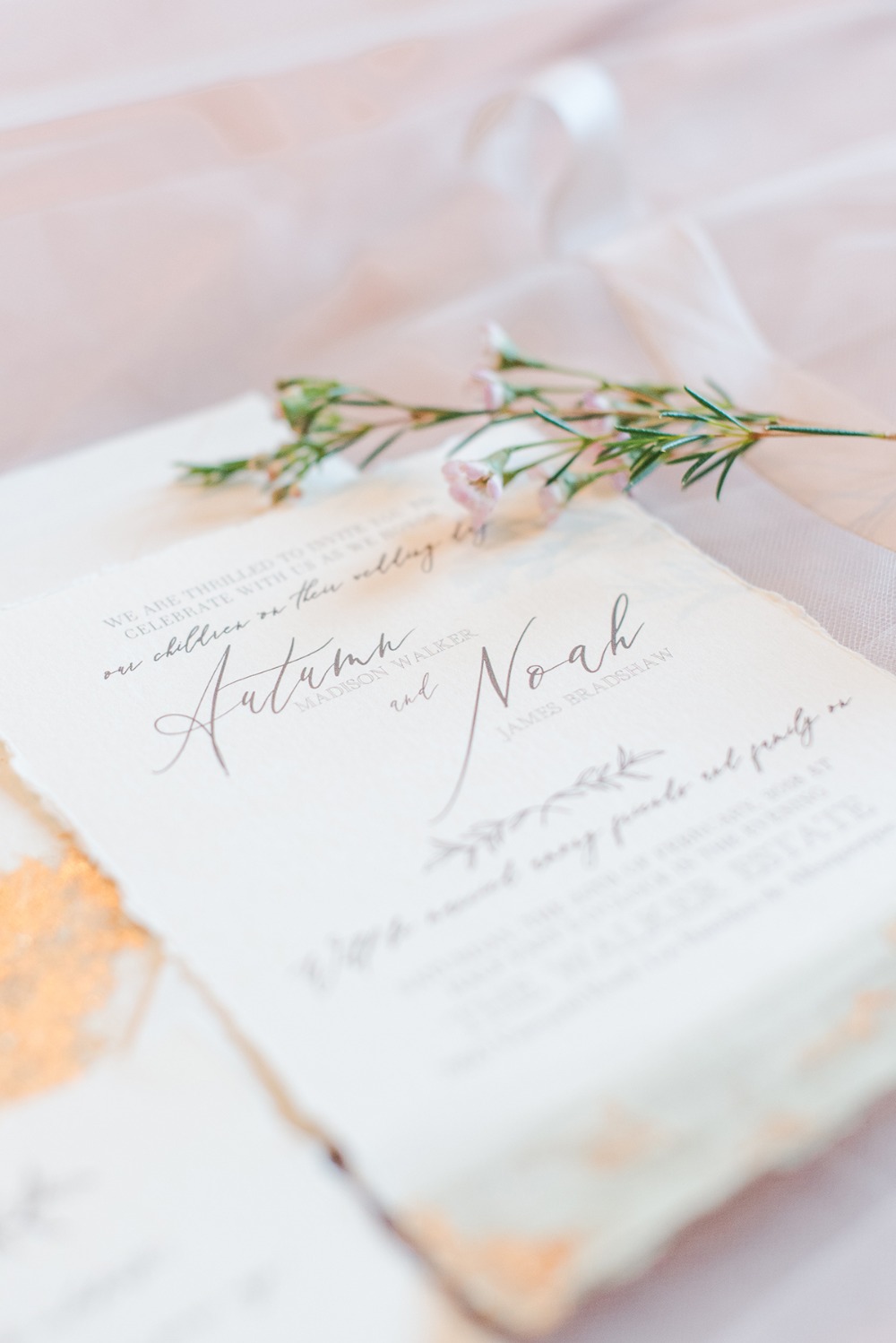 wedding-submission-from-maura-casados