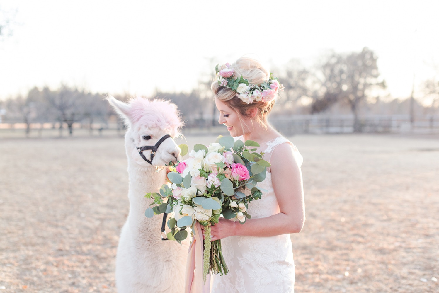 wedding-submission-from-maura-casados