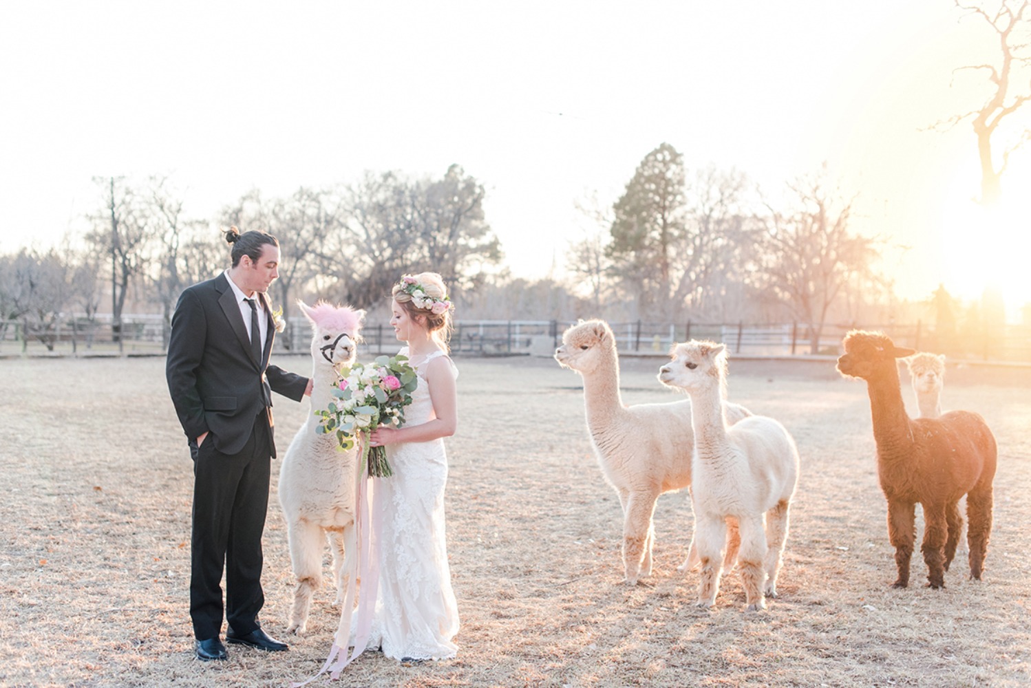 wedding-submission-from-maura-casados