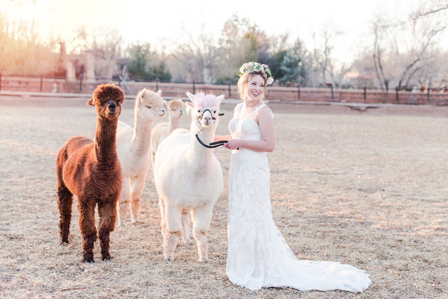 wedding-submission-from-maura-casados