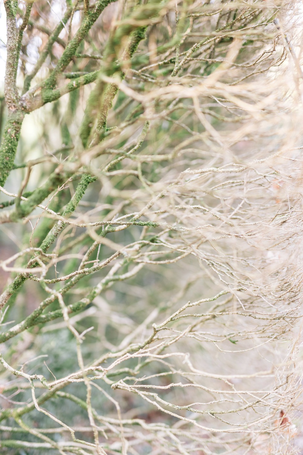 wedding-submission-from-pure-wedding