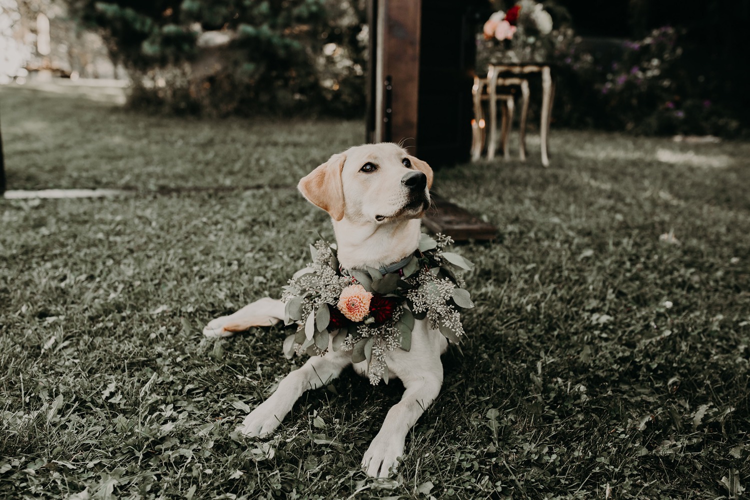 wedding-submission-from-quaint