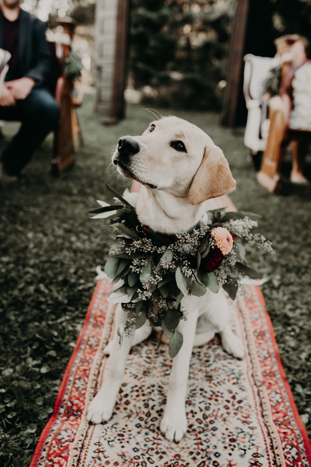 wedding-submission-from-quaint