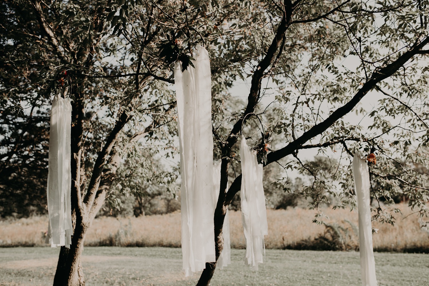 wedding-submission-from-quaint