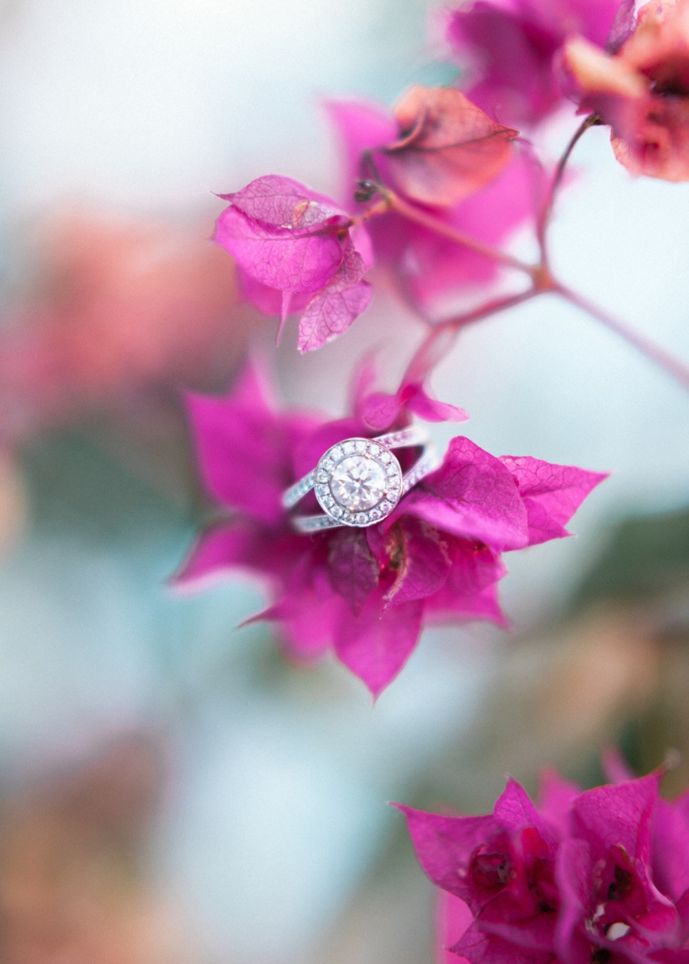 wedding-submission-from-sandy