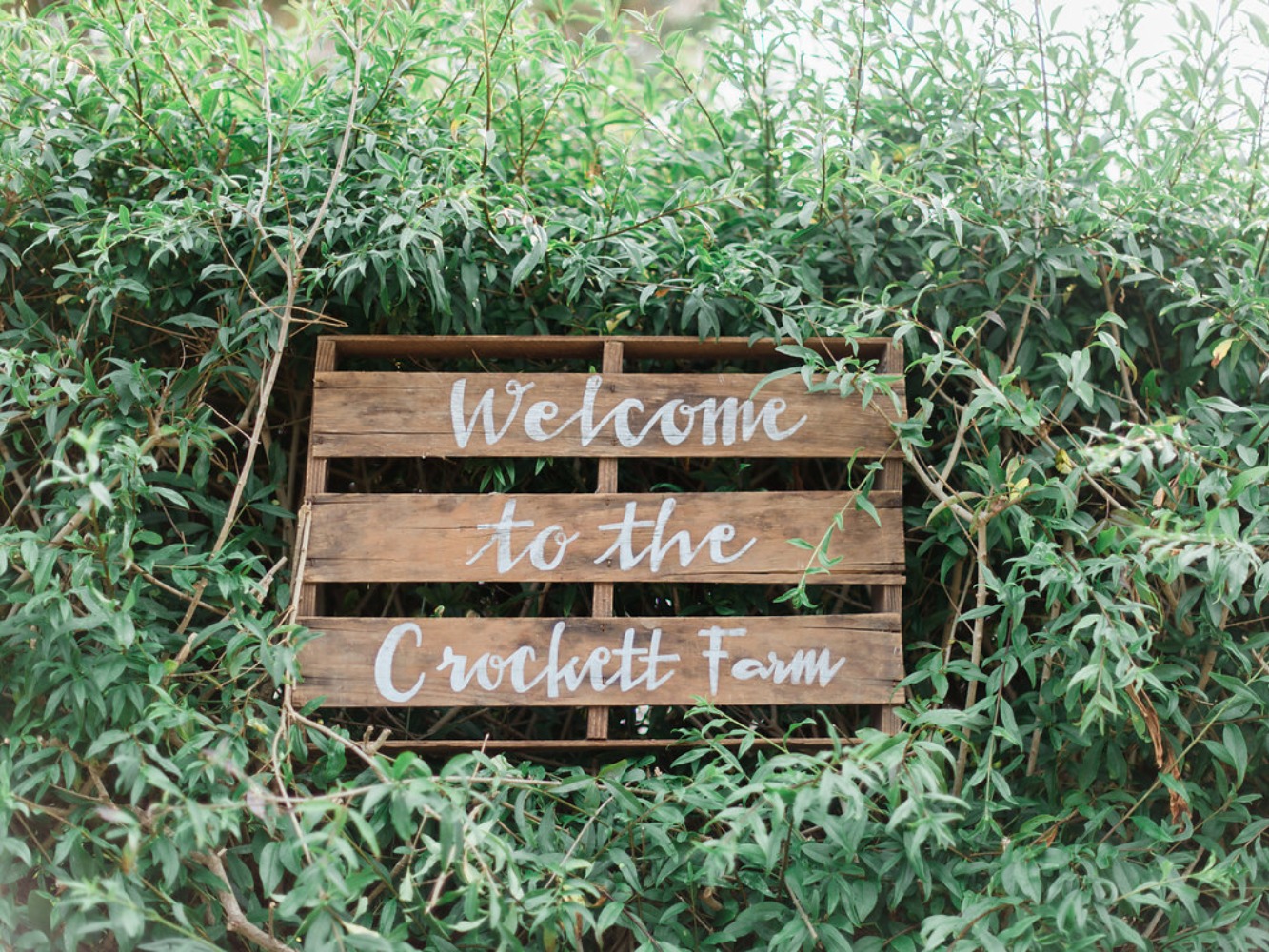 wedding-submission-from-whidbey-island