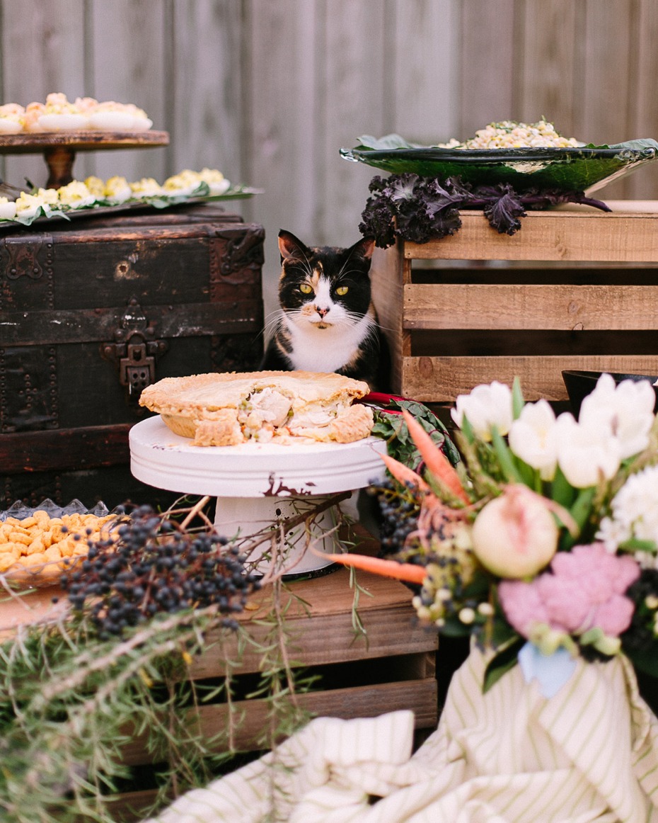 Calico cat peeks from behind pie on dessert buffet table