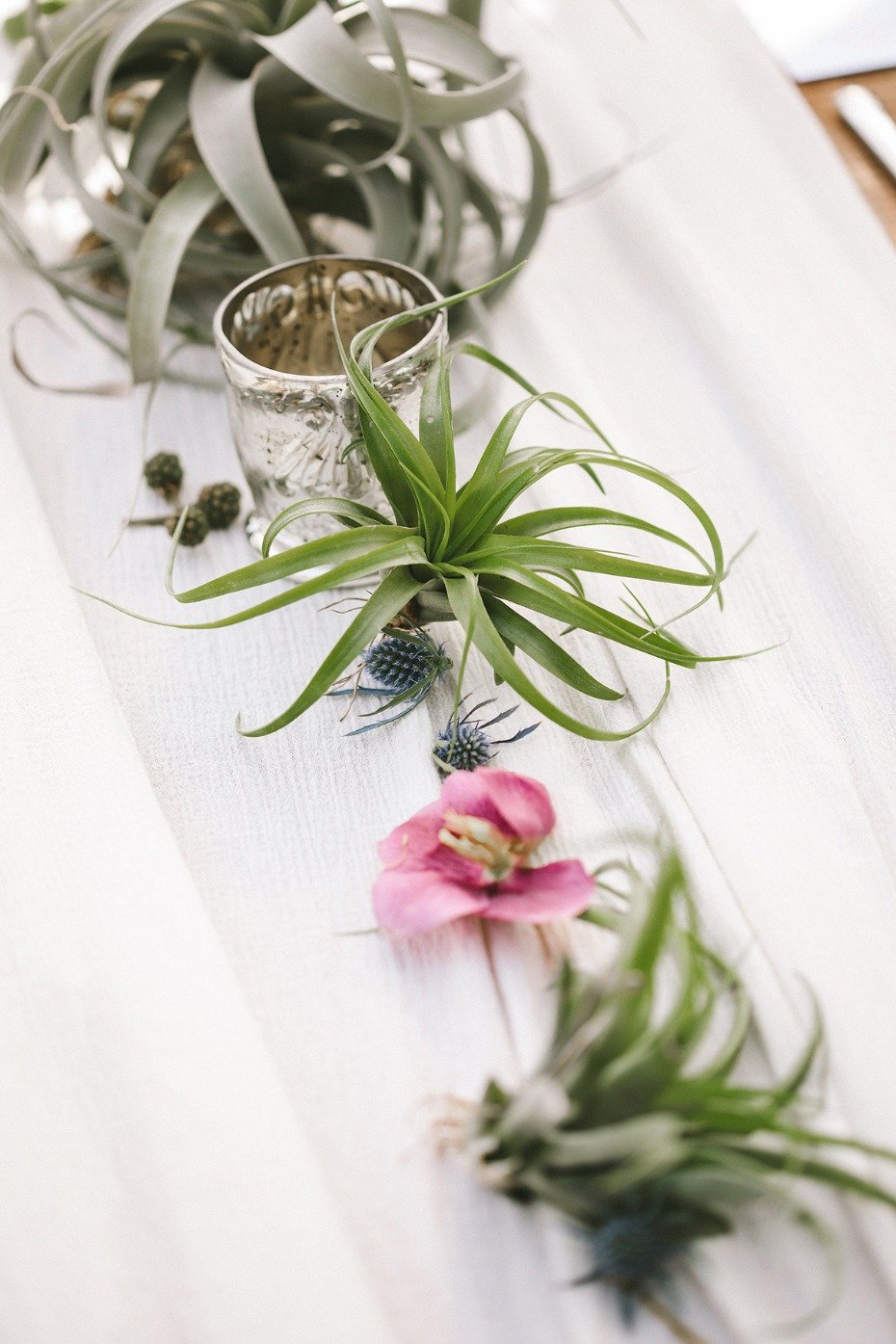 thistle and air plant wedding centerpiece