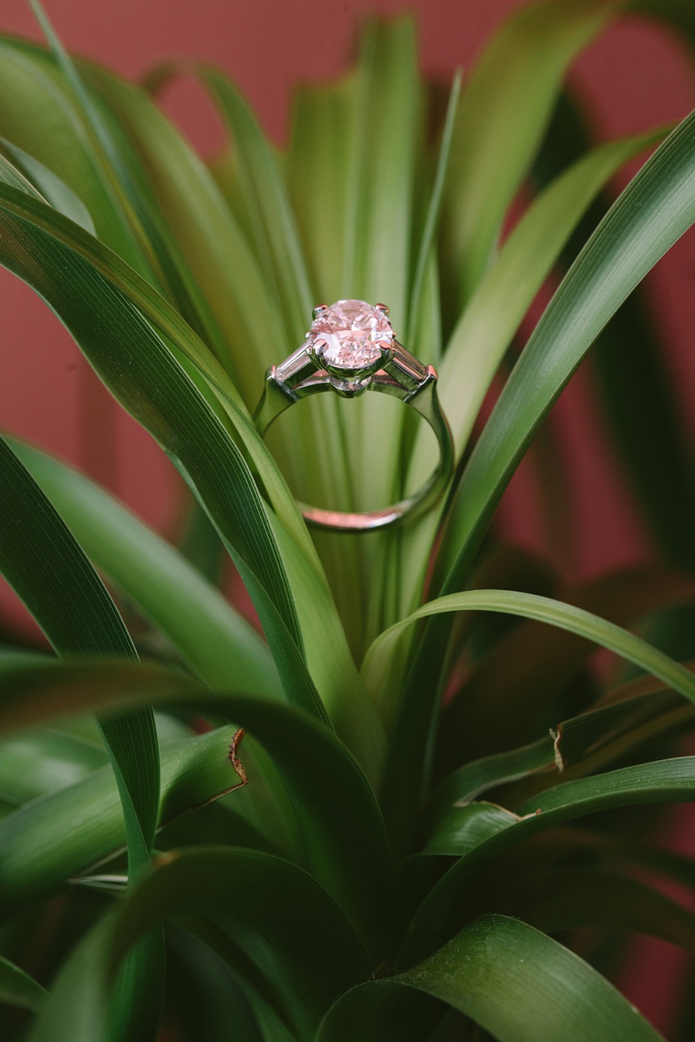 wedding-submission-from-anna-roussos